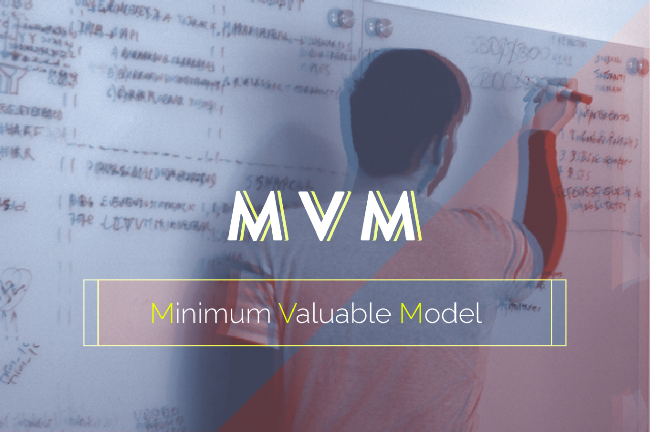Practical data science: Building Minimum Viable Models